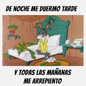 Meet your Posher, Irma